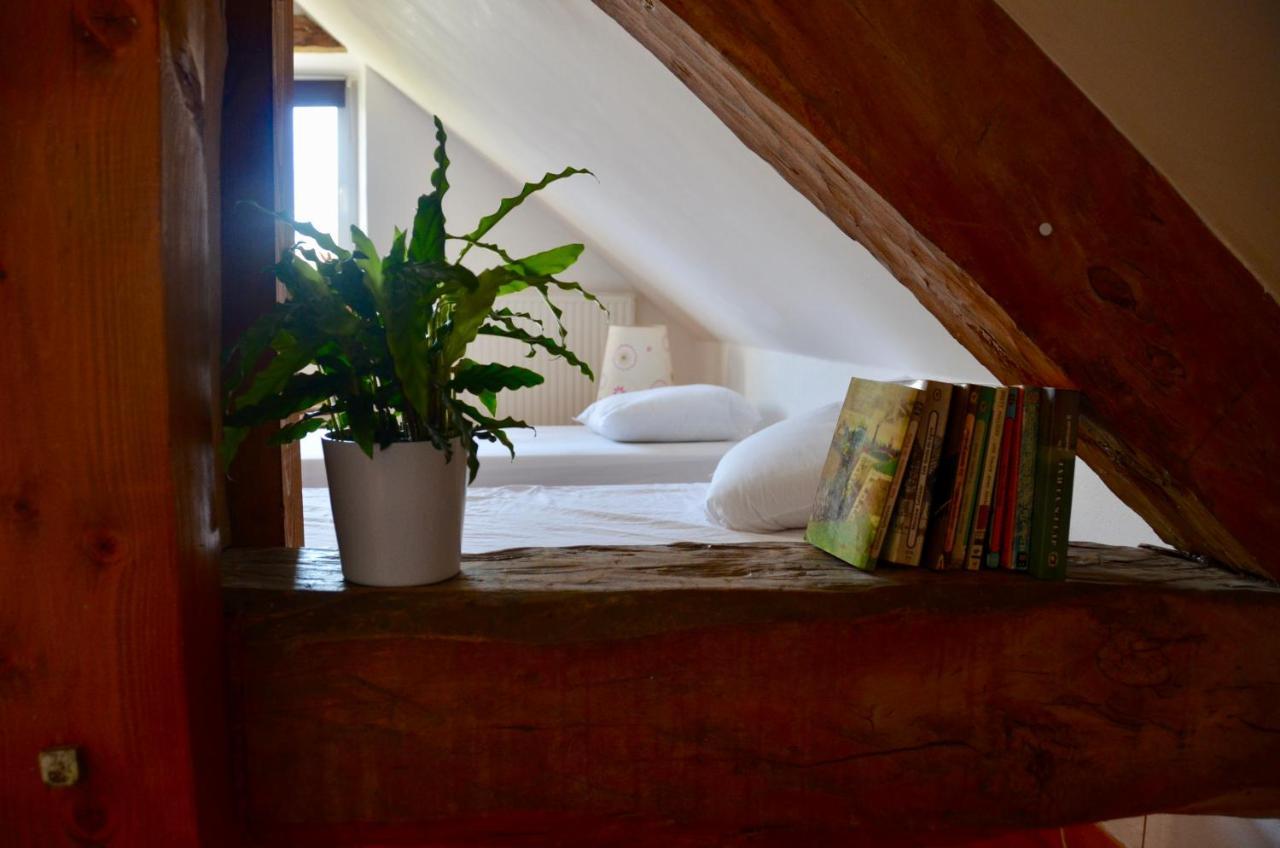 Le Pipapo Apartament Saint-Martin-de-Bavel Zewnętrze zdjęcie
